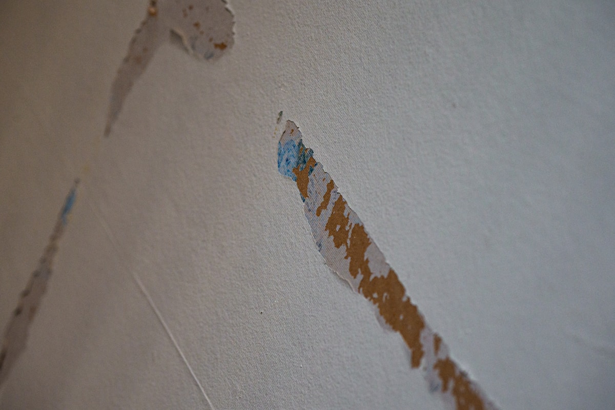 Mold Remediation service in North Miami, FL